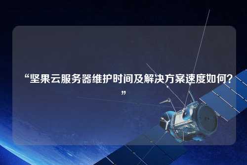 “堅果云服務器維護時間及解決方案速度如何？”